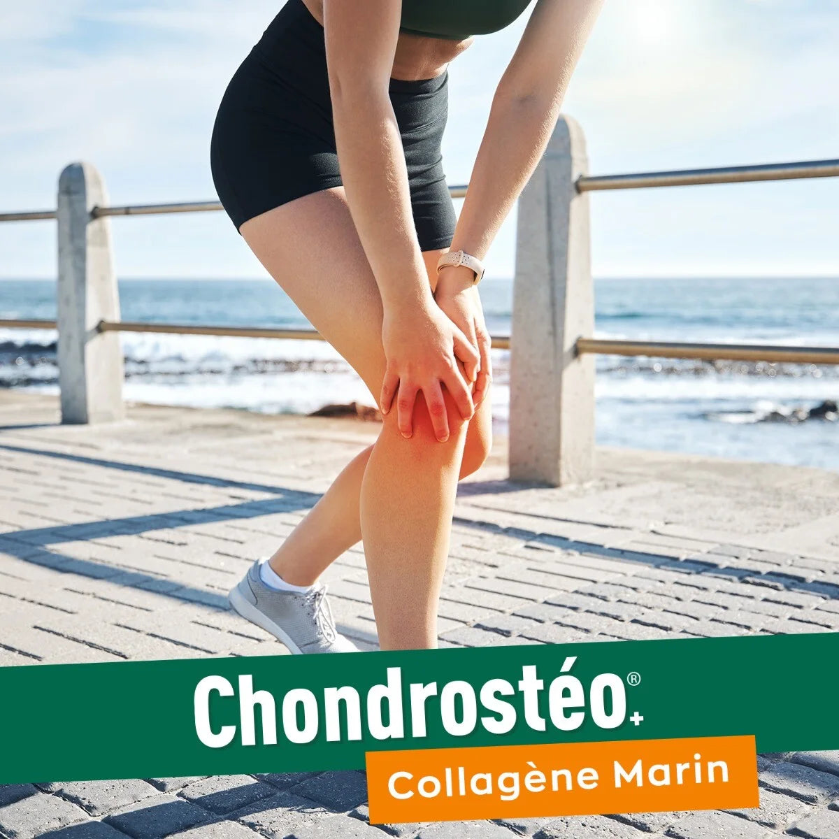 CHONDROSTÉO + Articulations - Collagène Marin - Poudre 280g